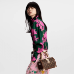 Louis Vuitton M11154 Speedy Trunk 20 Monogram - Image 3