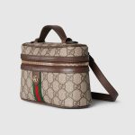 Gucci Ophidia Small Vanity Bag - Image 6