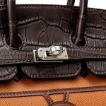 Hermès Birkin 20 Sellier Faubourg Bag - Image 6