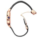 Santos de Cartier - Image 6