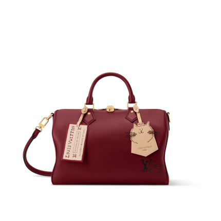 Louis Vuitton M25766 Speedy Soft 30