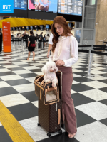 LOUIS VUITTON MONOGRAM PET BAG - Image 5