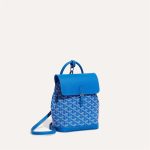 Goyard Alpin Mini Backpack - Image 11