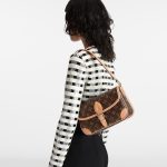 Louis Vuitton Diane M45985 - Image 2