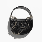 Chanel Spring-Summer 2025 Clutch with Chain