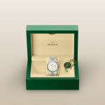 Rolex Land-Dweller Oyster, 40 mm, Oystersteel and white gold M127334 - Image 4