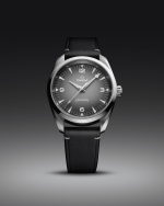 OMEGA Seamaster Railmaster - Image 4