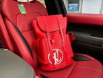 Louis Vuitton Backpack