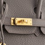 Hermès Birkin 25 Togo Gris Etain Gold Hardware - Image 7