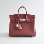 Hermès Birkin 25 Togo Rouge H Pallidum Hardware