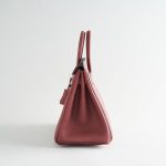 Hermès Birkin 25 Togo Rouge H Pallidum Hardware - Image 3