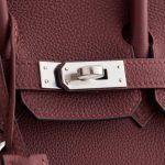 Hermès Birkin 25 Togo Rouge H Pallidum Hardware - Image 7