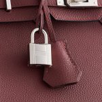 Hermès Birkin 25 Togo Rouge H Pallidum Hardware - Image 6