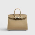 Hermès Birkin 25 Epsom Etoupe Sellier Palladium Hardware - Image 2
