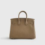 Hermès Birkin 25 Togo Toundra Palladium Hardware - Image 2