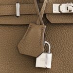 Hermès Birkin 25 Togo Toundra Palladium Hardware - Image 6