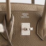 Hermès Birkin 25 Togo Toundra Palladium Hardware - Image 8