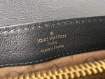 Louis Vuitton M25209 Dauphine Soft MM - Image 9