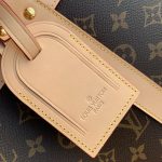 Louis Vuitton M45662 Dog Bag - Image 13