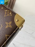Louis Vuitton M14526 Trunkie - Image 11