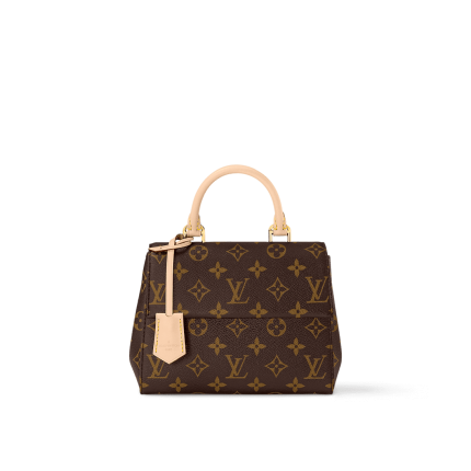 Louis Vuitton M46055 Cluny Mini
