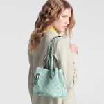 Louis Vuitton M24930 BLOSSOM Small Bag - Image 11