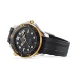 OMEGA Seamaster Diver 300M - Image 2