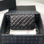 CHANEL WALLET ON CHAIN AP3054 - Image 2