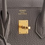 Hermès Birkin 25 Togo Gris Etain Gold Hardware - Image 6
