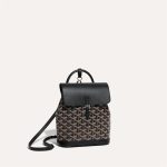 Goyard Alpin Mini Backpack - Image 12