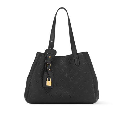 Louis Vuitton M25858 All In One PM