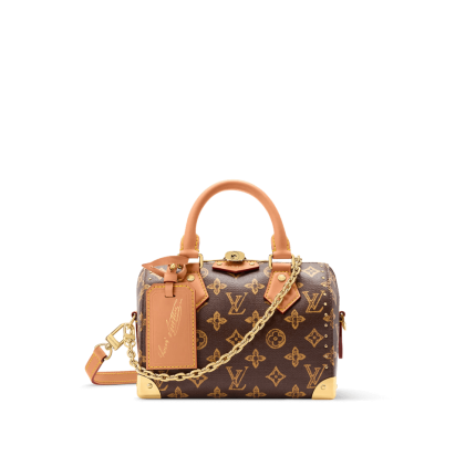 Louis Vuitton M28102 Speedy Trunk 20