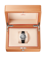 OMEGA Seamaster Railmaster - Image 5