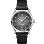 OMEGA Seamaster Railmaster