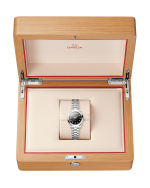 OMEGA Seamaster Aqua Terra 150M - Image 10
