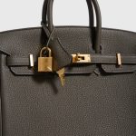 Hermès Birkin 25 Togo Eucalyptus Gold Hardware - Image 6