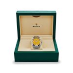 Rolex Oyster Perpetual 41 124300 Stainless Steel Yellow Dial - Image 7