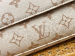 Louis Vuitton M83091 Wallet on Chain Ivy - Image 7