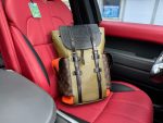 Louis Vuitton Backpack